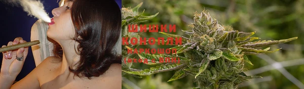 spice Кодинск