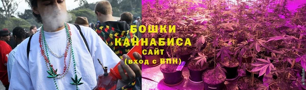 каннабис Корсаков