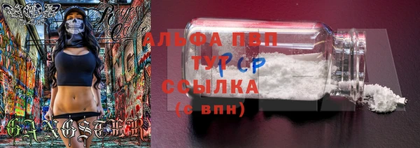 каннабис Корсаков